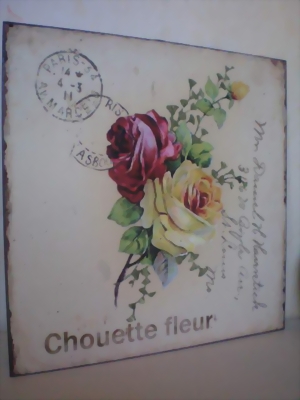 12er Set Dekorative Antik Repro Blechschilder