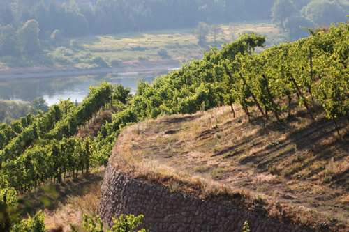 Spaargebirge, Meißen