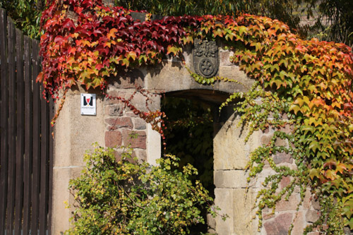 Herbst am Spitzhaus, Radebeul