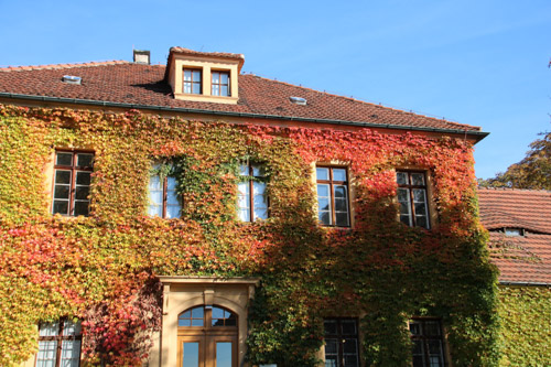Herbst am Spitzhaus, Radebeul